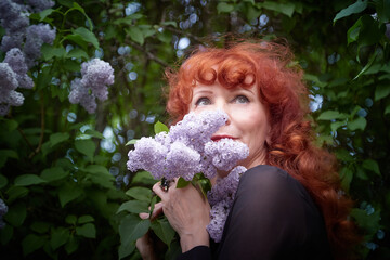 Elegant senior mature Woman in Black Dress by Blooming Lilac Bush at Dusk. A woman with red hair...