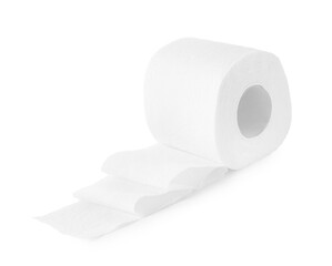 One toilet paper roll isolated on white