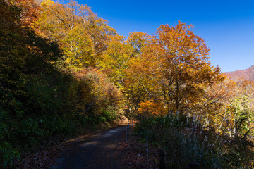 Fototapeta premium 日本の風景・秋 紅葉の谷川岳 一ノ倉沢までのハイキングコース
