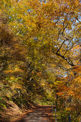 Fototapeta premium 日本の風景・秋 紅葉の谷川岳 一ノ倉沢までのハイキングコース