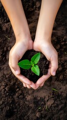 pair of hands holding a young plant, with a soil background, care for nature or environmental protection through various gestures such as planting trees, caring about the environment