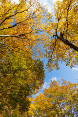 日本の風景・秋　紅葉の谷川岳　一ノ倉沢までのハイキングコース