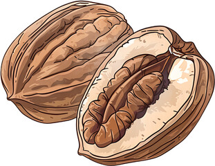 Nutty pecans, western walnuts, walnuts, pecans, nuts