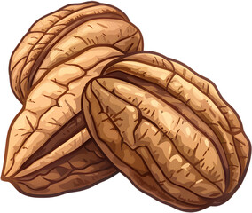 Fototapeta premium Nutty pecans, western walnuts, walnuts, pecans, nuts