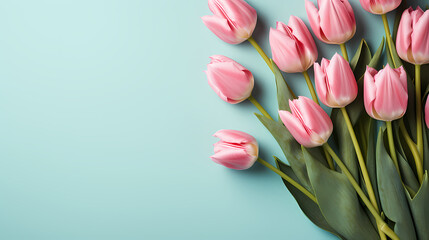 Tulip flowers in pastel colors