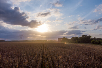 Farm land in Mississippi fields