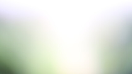 blur landscape background with salo depth of field