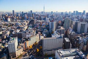 東京都市風景　文京区　文京シビックセンターからの眺望