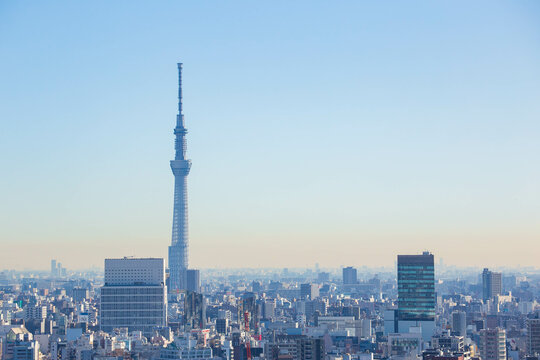東京都市風景 文京区 文京シビックセンターからの眺望 © Yuta1127
