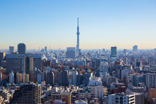 東京都市風景 文京区 文京シビックセンターからの眺望 © Yuta1127