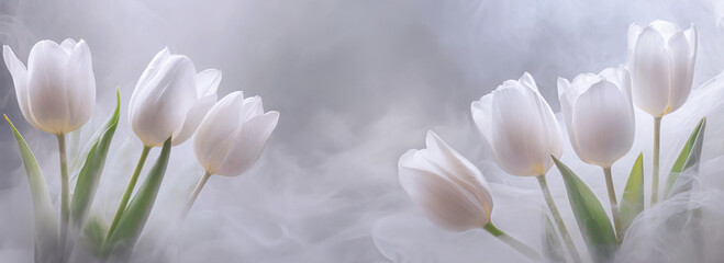 Tapeta białe kwiaty. Wiosenne tulipany. Jasne pastelowe tło kwiatowe - obrazy, fototapety, plakaty