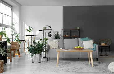 Interior of modern living room with comfortable sofa, houseplants, shelving units and table with...