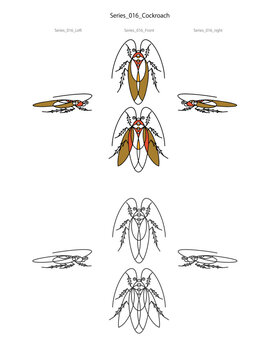 World insect & beetle - Deformation series - BW