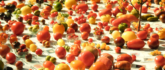 A table full of different colored tomatoes and other fruits