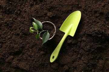 Young plant in pot and gardening shovel on soil background, closeup. Earth Day celebration concept.