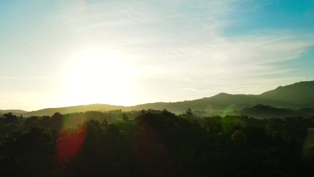Aerial shot of El Yunque rainforest.