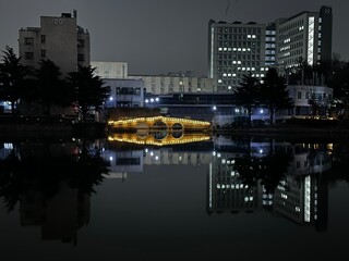 Fototapeta premium korea night city beautiful bridge background