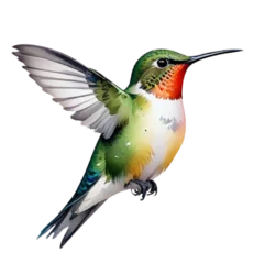 Crédence de cuisine en verre imprimé Colibri watercolor illustration of a hummingbird