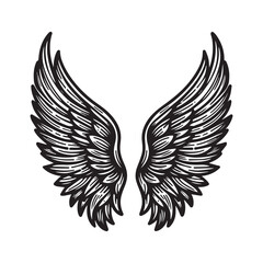 Fototapeta premium Angel wing vector illustration in black and white 
