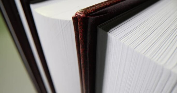 Meticulously aligned rows of paper book pages grace shelf