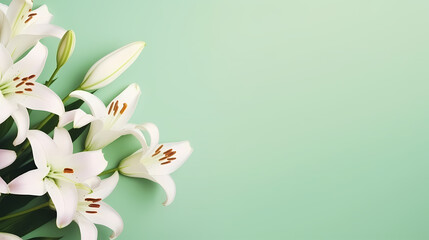 Elegant lilies in bloom
