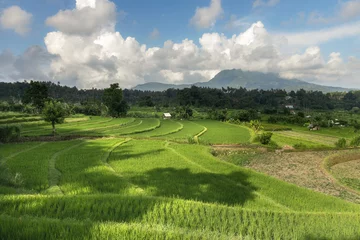 Papier Peint photo Rizières Scenic Maha Ganga paddy ricefiled terraces in rural part of Bali island, Karangasem district on a sunny day