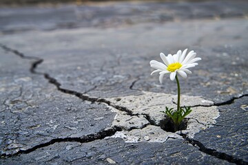 Flower Power: A Dandelion's Struggle to Survive in a Cracked Concrete World Generative AI