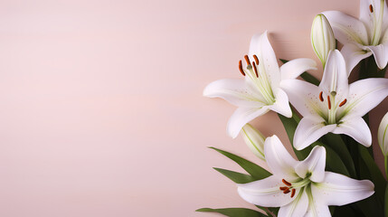Fototapeta premium Lily flowers on pastel background