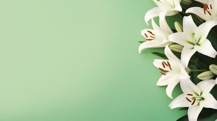 Beautiful lilies on the background