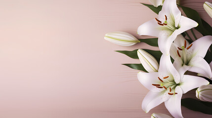 Fototapeta premium Beautiful lilies on the background