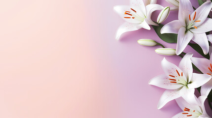 Beautiful lilies on the background