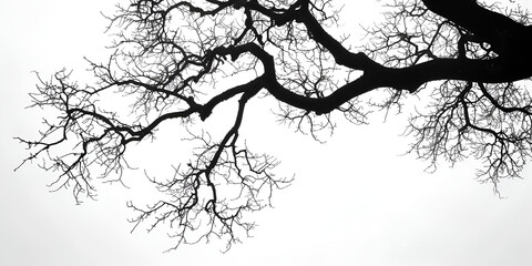 Tree silhouette. generative ai 