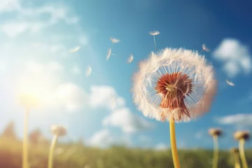 Foto op Plexiglas A dandelion is blowing in the wind © vefimov