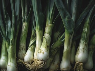 A bunch of green onions with white stems - obrazy, fototapety, plakaty