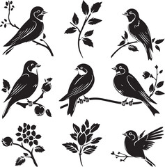 Silhouette of Sparrow birds on the branch white background	
