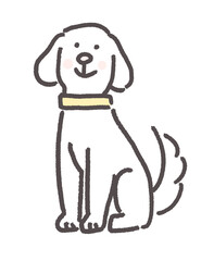 お座りする白い犬