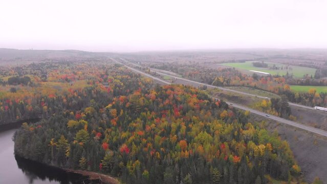 A wide drone shot showcasing a large patch of trees that have changed color from the Autumn, fall  Temperatures, with a giant highway running beside it.