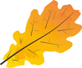 Obraz premium Oak leaf, fall. Vector color drawing