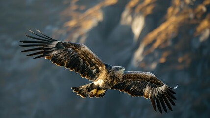 Majestic flying eagle with blurred face - An eagle in flight over a rocky landscape, digitally altered with a blurred face area
