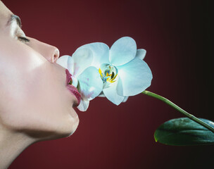 Orchid and woman lips. Orchid flower on sensual woman mouth.