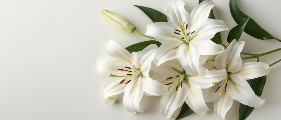 Fototapeta na wymiar Bouquet of white lilies on white background with space for text or image