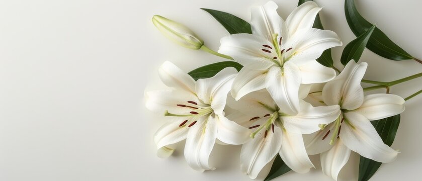   Bouquet of white lilies on white background with space for text or image