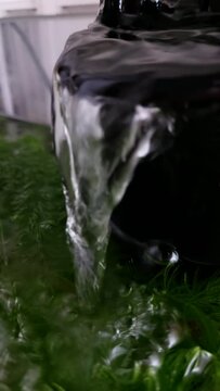Water pours from the filter in the aquarium