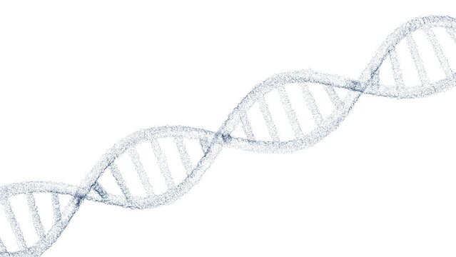 3d dna chain loop rotation on white background. Seamless looping animation.
