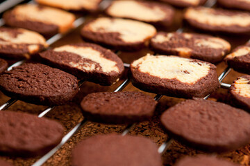 Chocolate Cookies.  Freshly baked swirl cookies with a delightful contrast of chocolate and vanilla...