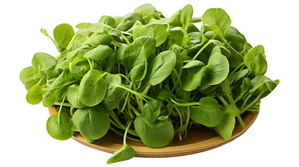 Fresh watercress in a wooden board on a transparent png - obrazy, fototapety, plakaty