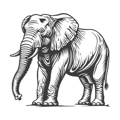 Elephant woodcut style drawing vector illustration