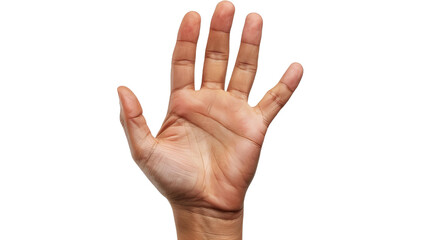 Fototapeta premium A hand is raised in the air with the fingers spread out