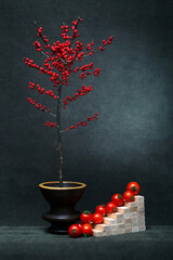 A branch of ilex red with berries and tomatoes - obrazy, fototapety, plakaty