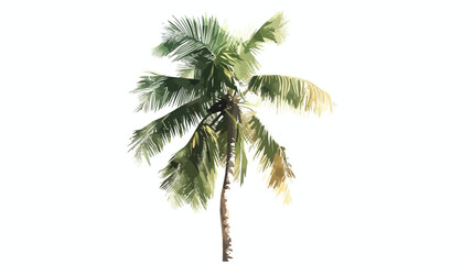 Fototapeta na wymiar A Single Palm Tree in Florida flat vector isolated on hite background 
